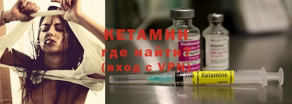 шишки Абаза