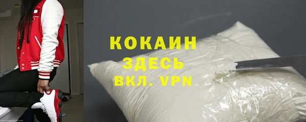 шишки Абаза
