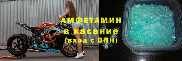 шишки Абаза