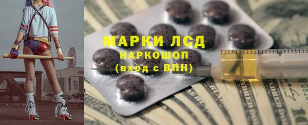 шишки Абаза
