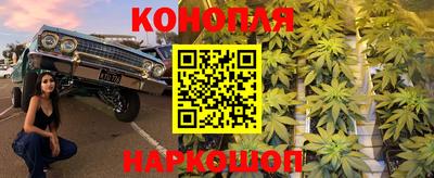 прущие крисы Новокубанск
