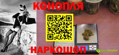прущие крисы Новокубанск