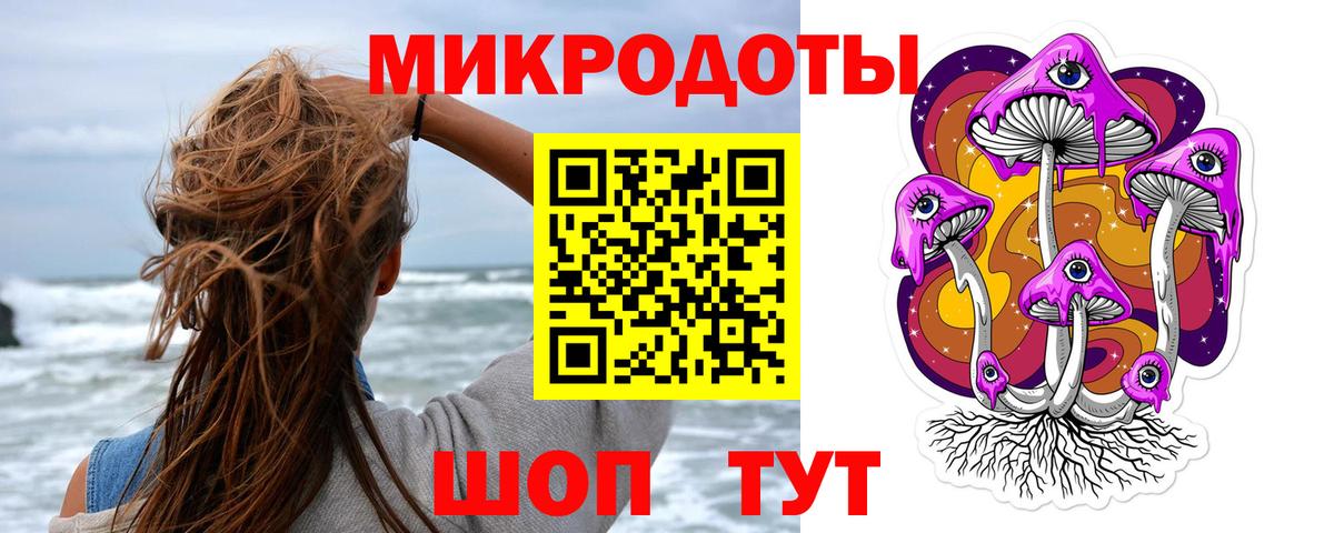 Галлюциногенные грибы GOLDEN TEACHER  Вход с VPN  Советская Гавань  магазин продажи наркотиков  Псилоцибиновые грибы ЛСД 