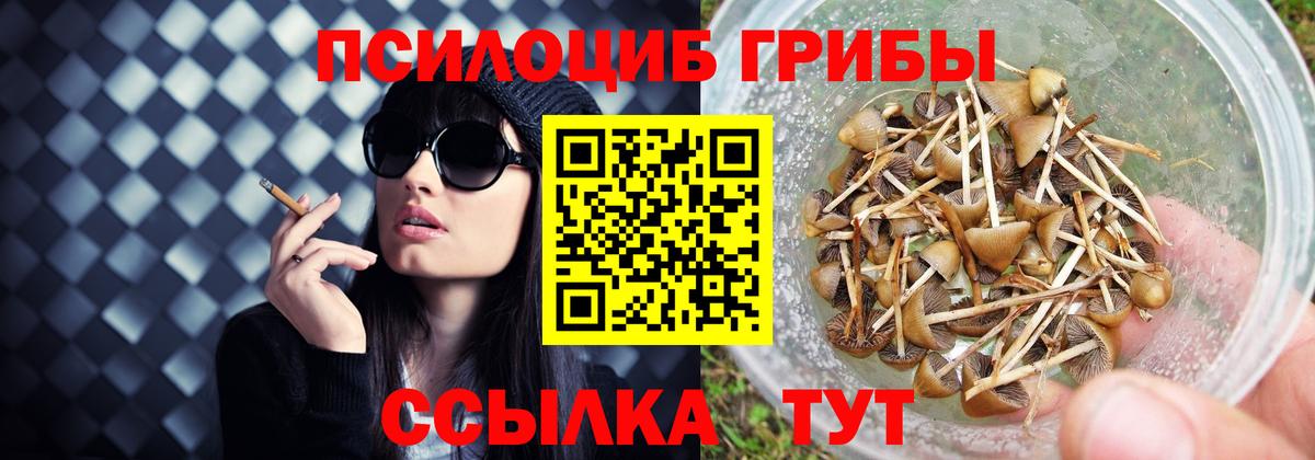 Галлюциногенные грибы GOLDEN TEACHER Советская Гавань